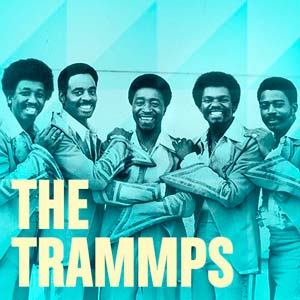 Wereldacts op 40UP Zomerfestival