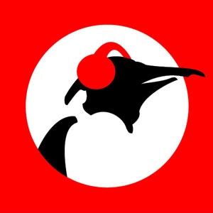 Een hemels uur op Pinguin Radio